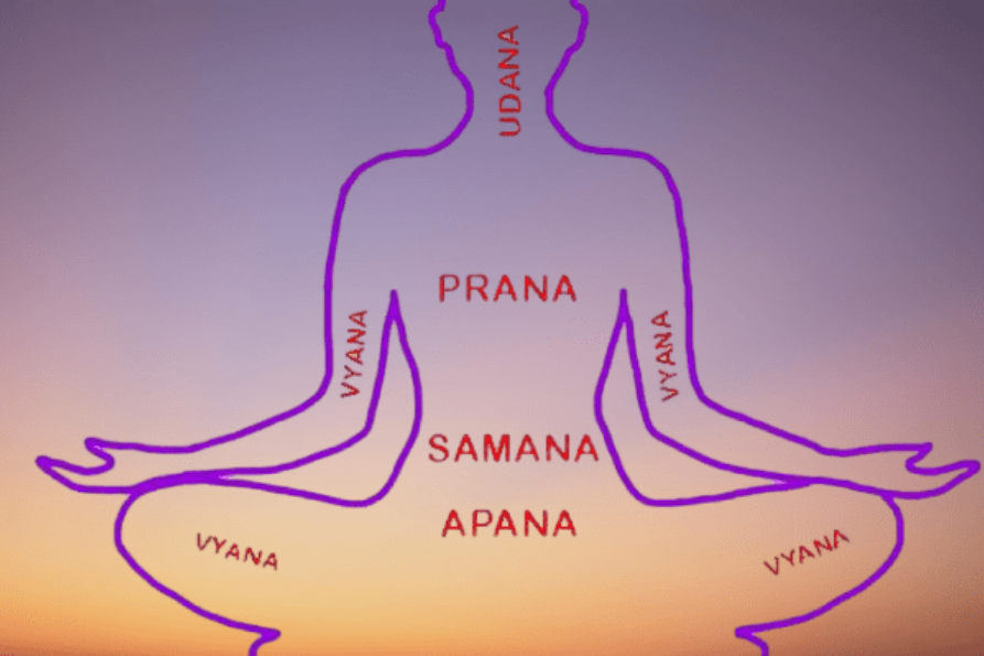 Pancha Vayus – The Five Vital Airs